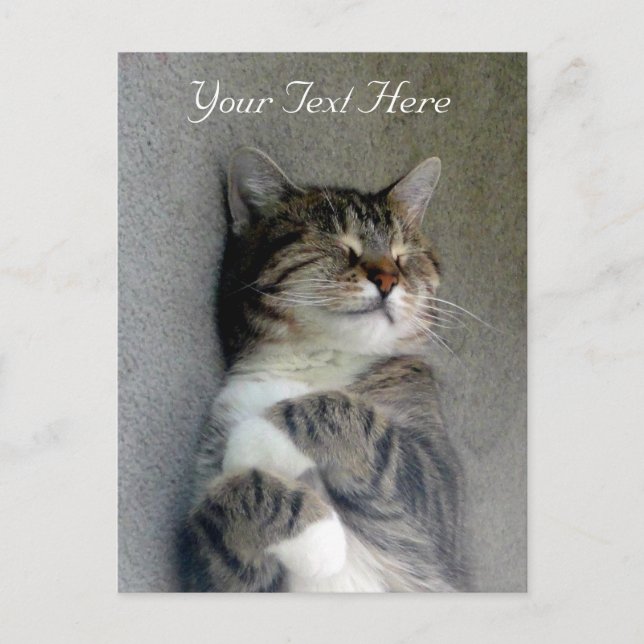 Carte postale Happy Cat personnalisable (Devant)