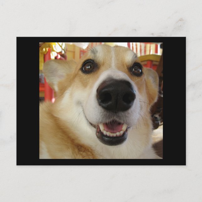 Carte postale Happy Corgi (Devant)