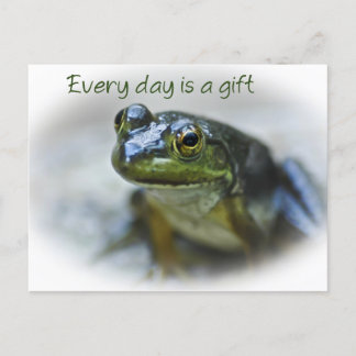 Carte postale Happy Frog Encouragement