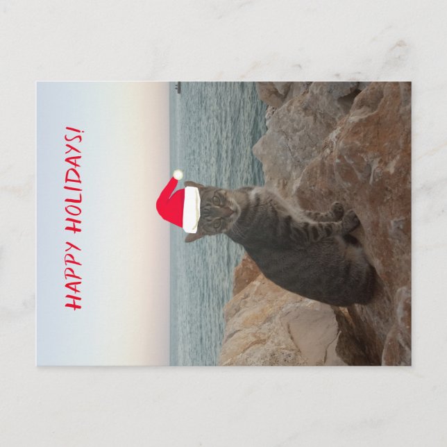 Carte postale Happy Holidays Photo Chat (Devant)