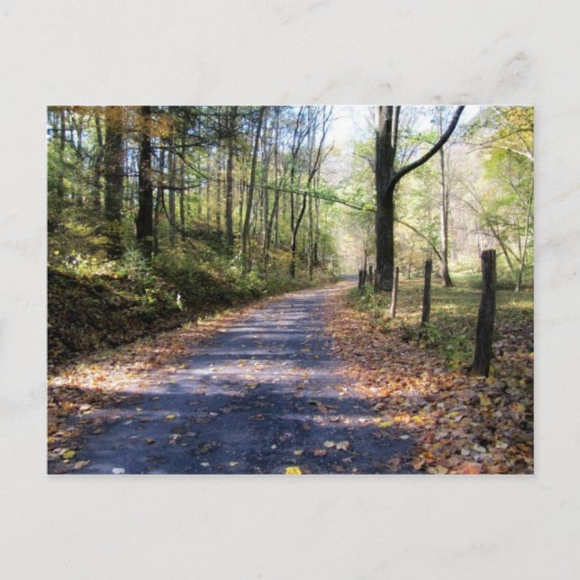 Carte postale Happy Trails (Devant)