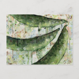 Carte Postale Haricots verts trois