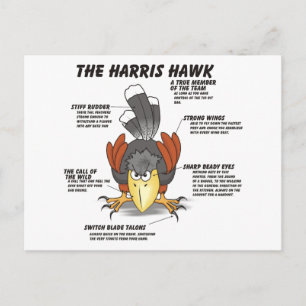 Carte Postale Harris Hawk Cartoon