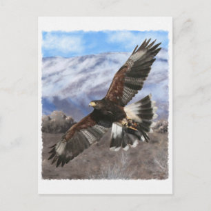 Carte Postale Harris Hawk - pastel