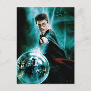 Carte Postale Harry Potter et Voldemort un seul peut survivre