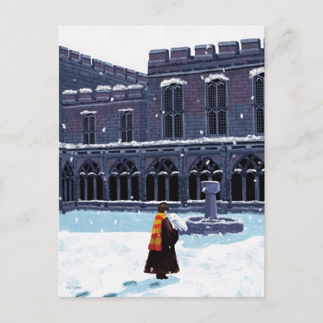 Carte Postale HARRY POTTER ™ & Hedwig dans la cour de HOGWARTS ™ (Devant)