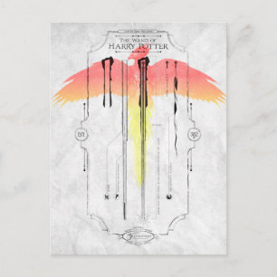 Carte Postale Harry Potter Spell   Harry's Wand Infographic