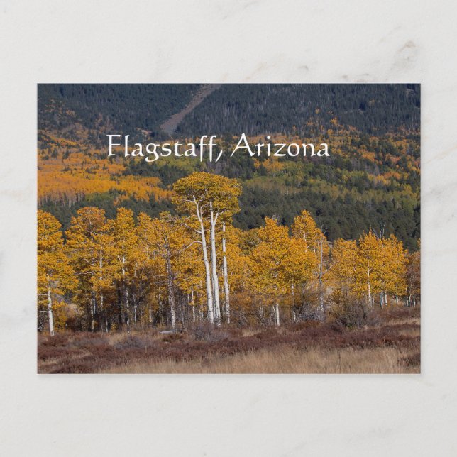 Carte Postale Hart Prairie Flagstaff, Arizona (Devant)
