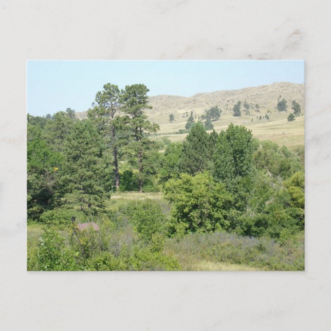 Carte Postale Haut désert (Devant)