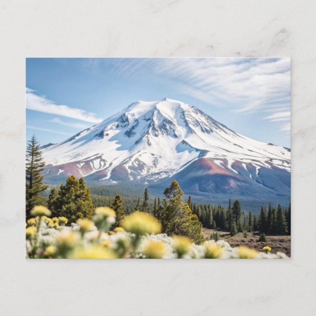Carte Postale Haut du mont Shasta California (Devant)