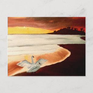 Carte postale Hawaï Soleil Couchant Dawn Patrol Ar