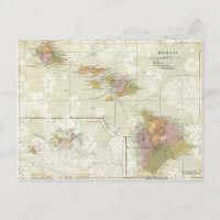 Carte postale hawaïenne vintage Enregistrer la dat