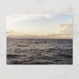 Carte Postale Hawaii Blue