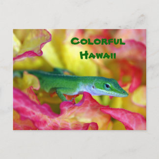Carte Postale Hawaii coloré