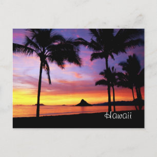 Carte postale Hawaii Dream