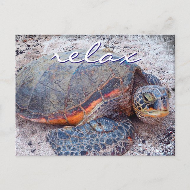 Carte Postale Hawaii honu tortue de mer gros plan photo Relax qu (Devant)