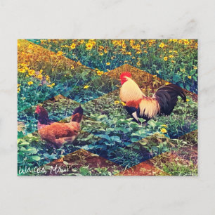 Carte postale Hawaii Rooster