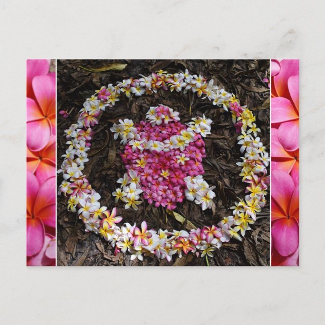 Carte Postale Hawaii Turtle Honu Plumeria Summer Flower Paradise (Devant)