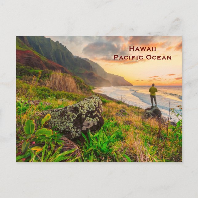 Carte Postale Hawaii Vintage Tourism Travel Ajouter (Devant)