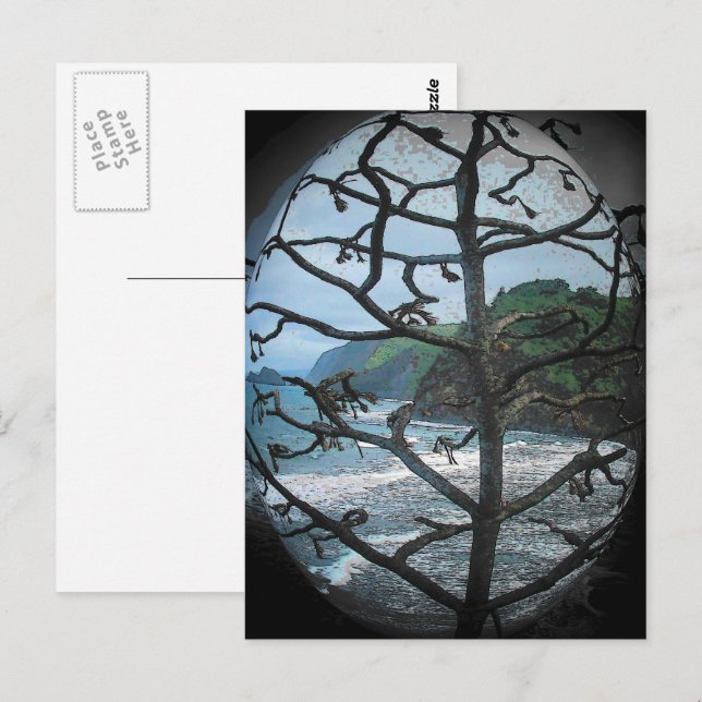 Carte Postale Hawaiian Ocean Beach Tree Photo Spotlight (Devant / Derrière)