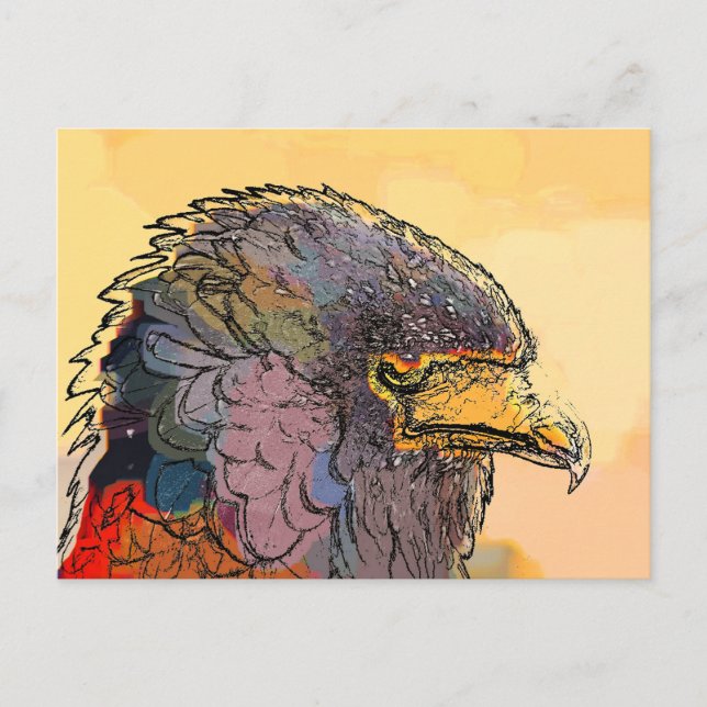 CARTE POSTALE HAWK (Devant)