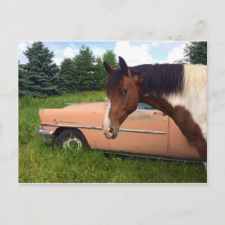 Carte Postale Hay !