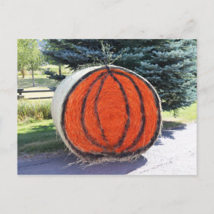CARTE POSTALE HAY BALE CITROUILLE