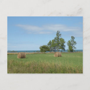 Carte postale Hay Field