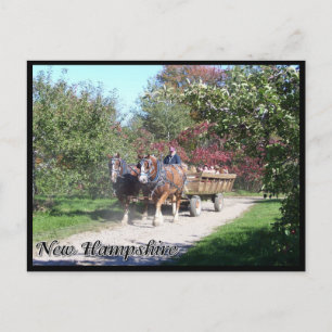 Carte Postale Hayride du New Hampshire