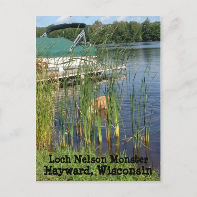 Carte postale Hayward, Wisconsin (Devant)