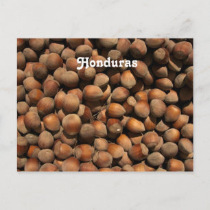Carte Postale Hazelnuts
