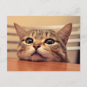 Carte Postale Head on table