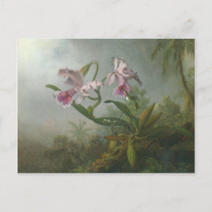 Carte Postale Heade - Deux orchidées et un Oiseau Humming