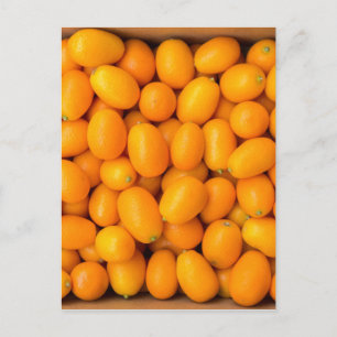 Carte Postale Heap of orange kumquats dans cardboard box