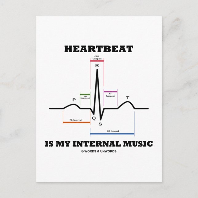 Carte Postale Heartbeat Is My Internal Music (ECG/EKG) (Devant)