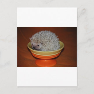 Carte Postale Hedgehog Sundae