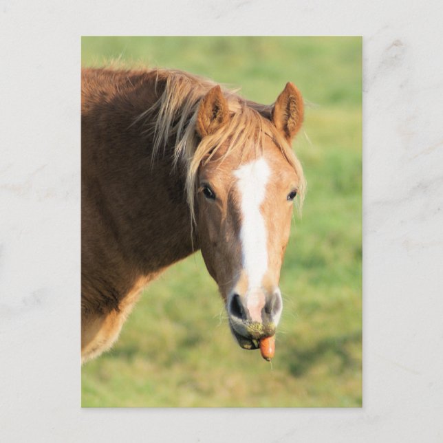 Carte Postale Heeya, quoi de neuf doc (Devant)