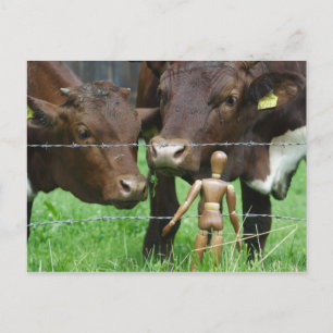 Carte Postale Hein ?