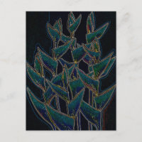 Heliconia Rostrata Fleurs tropicales Noir floral