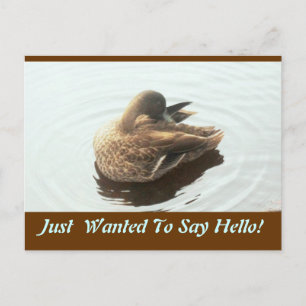 Carte postale Hello