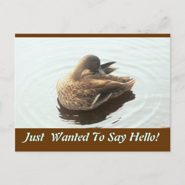 Carte postale Hello (Devant)