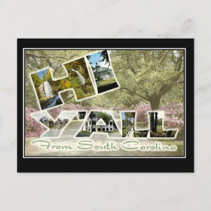 Carte Postale Hello From South Carolina Vintage Travel Postcard