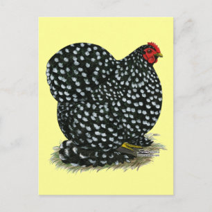 Carte Postale Hen Chin Bouché