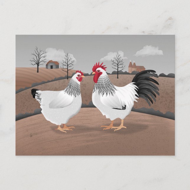 Carte Postale Hen & Rooster (Devant)