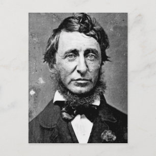 Carte Postale Henry David Thoreau