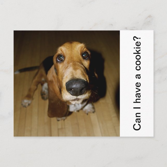 Carte Postale Henry Longfellow (Devant)