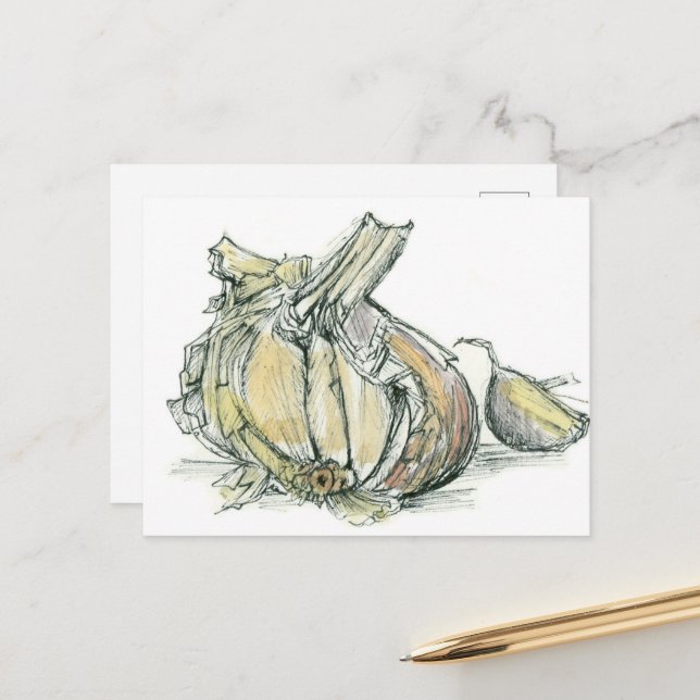 Carte Postale Herbe d'ail Allium Cuisine médicinale Dessin d'épi (Devant/Arrière en situation)