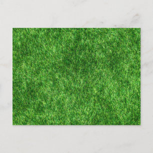 Carte Postale Herbe verte