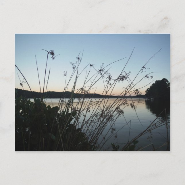 Carte Postale Herbes au lac Sunset (Devant)