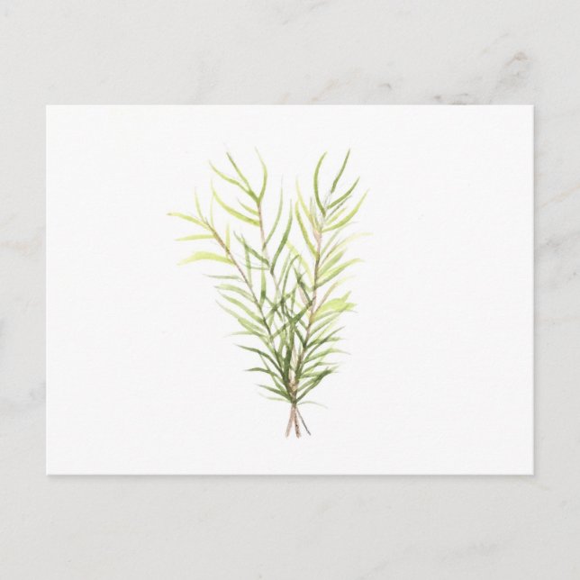 Carte Postale Herbes de romarin (Devant)